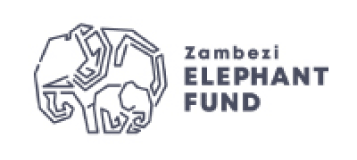 Zambezi Elephant Fund logo